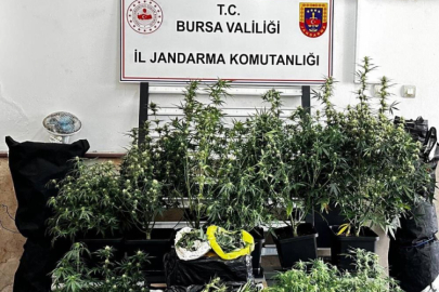 Bursa'da uyuşturucu operasyonu: 1 şüpheli tutuklandı