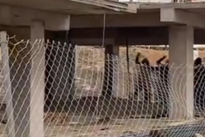 Bursa’da inşaat alanında sopalı kavga: İşçiler birbirine girdi
