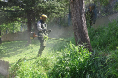 Osmangazi Belediyesi’nden çevreye bahar dokunuşu