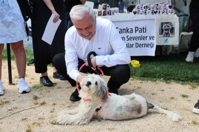 Nilüfer'de can dostlara yeni yuva