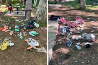 Bursa'da mesire alanı bir günde çöplüğe döndü