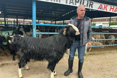 Bursa'daki kurban pazarının şampiyon keçisi 47 bin liradan satıldı