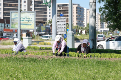 Bu yaz Osmangazi’de çiçek kokuları eksik olmayacak