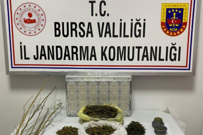 Bursa'da jandarma düğmeye bastı,uyuşturucu şebekesi çökertildi