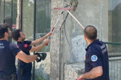 Bursa'da iş yerine giren yılan paniğe neden oldu