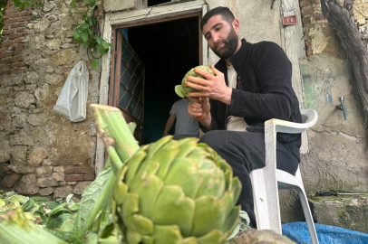 Enginar soyarak ayda 240 bin lira kazanıyor