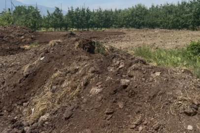 Organik gübre fiyatları geçen yıl ile aynı