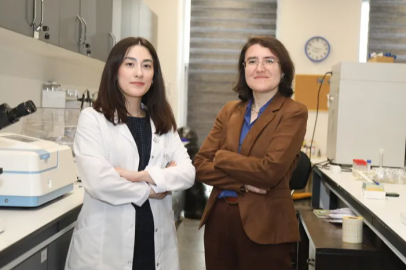 BTÜ’den atık zeytin dallarıyla kuraklığa akıllı çözüm