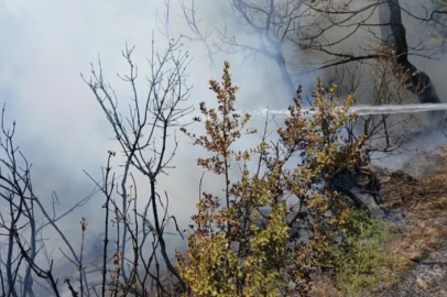 Bursa’da korkutan yangın