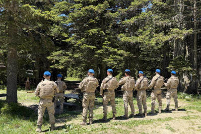 Uludağ'ın zümrüt yeşili ormanları Jandarma'ya emanet