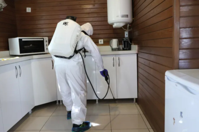 Nilüfer'de haşere ve kemirgen mücadelesi