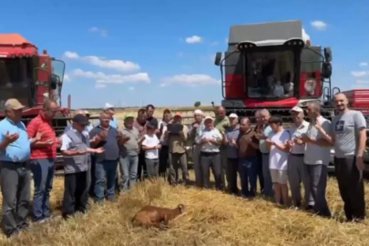 Hasat öncesi bereket duası