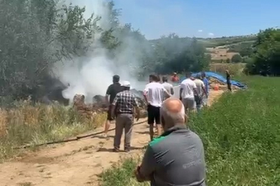 Bursa'da anız alevi 20 dönümü küle çevirdi