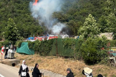Bursa'da ormanlık alanda yangın