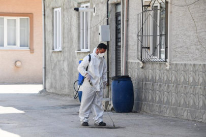 Osmangazi Belediyesi’nden haşereye karşı anında müdahale
