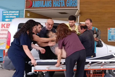 Bursa'da mantar toplamak isterken canından oluyordu