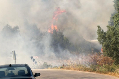 İznik'te yangın paniği