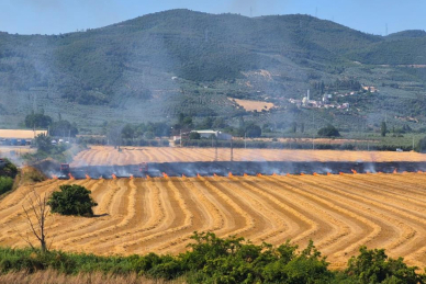Gemlik Serbest Bölge yakınında korkutan yangın