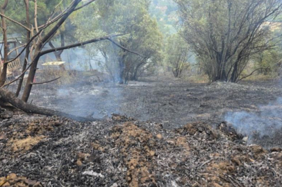 Mudanya'da rüzgarın etkisiyle büyüyen yangın kontrol altına alındı