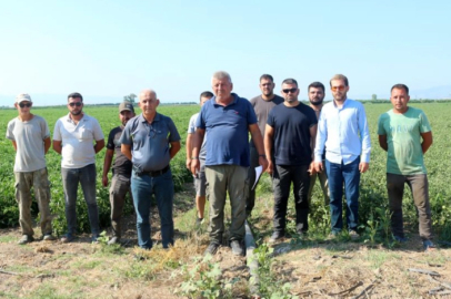 Manyas Gölü'nden gelen ilaçlı su sorununa çözüm bekleniyor