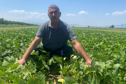 Bu köyde çiftçi sadece tarlasını hazırlıyor, gerisini kooperatif yapıyor