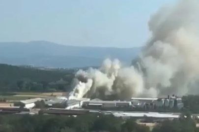Bursa'da tavuk çiftliğinde yangın