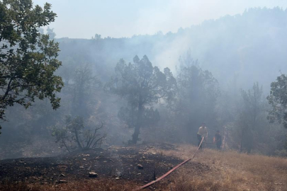 Bursa'da orman yangınına havadan ve karadan müdahale