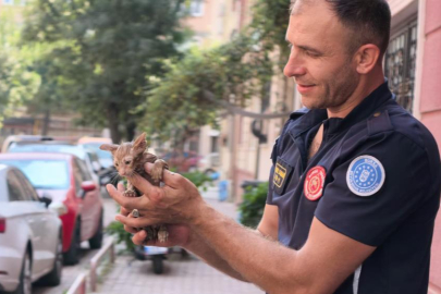 Yağmur suyu giderine sıkışan kediyi itfaiye kurtardı