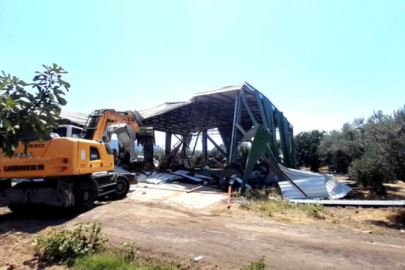 Bursa'da zeytinliğe yapılan kaçak depo böyle yıkıldı