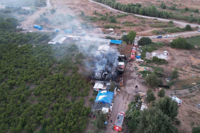 Bursa'da çiftlik alev alev yandı: Olay yeri dron ile görüntülendi