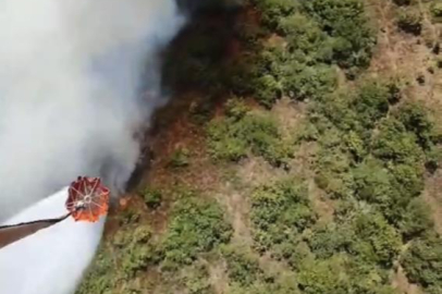 Bursa'da bir orman yangını daha