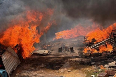 Bursa'da iki ayrı ot yangını kontrol altına alındı