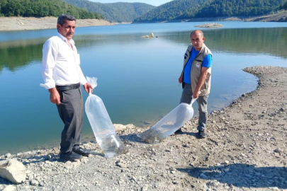 Orhaneli’de göletler sazan yavrularıyla buluştu