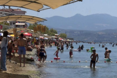 Bursa sahillerinden sevindiren haber
