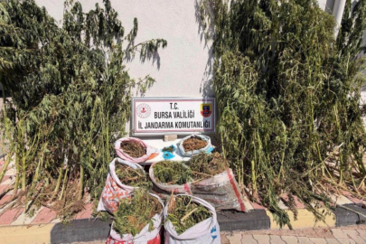 Bursa’da uyuşturucu operasyonu: 22 kilo 675 gram esrar ele geçirildi