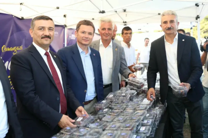 Osmangazi’nin siyah inciri festivalle buluştu