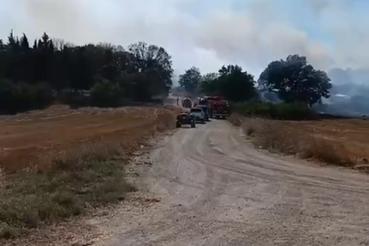 Bursa'da arazide çıkan yangın, ekiplerin hızlı müdahalesiyle söndürüldü
