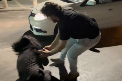 Polise direnen, gazeteciye tüküren alkollü kadın tutuklandı