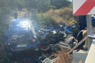 Bursa'da virajı alamayan kamyon can aldı: 1 ölü, 1 yaralı