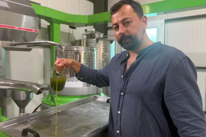 Avrupa ilaç yerine ilk hasat zeytinyağı içiyor