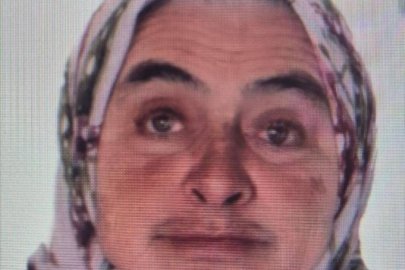 Bursa'da ormanda tüm ekipler onu arıyor...