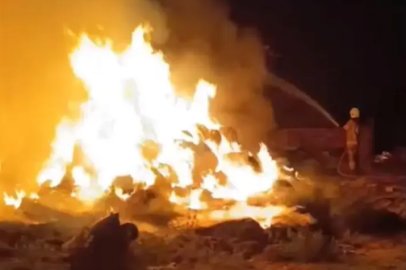 Karacabey'de yanan çiftlikten son anda kurtarıldılar