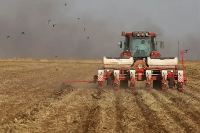 Tarım-GFE yıllık yüzde 30,28 arttı