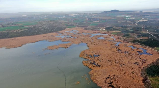 2600 yıllık geçmişi olan Uluabat Gölü'nde kuraklık tehlikesi