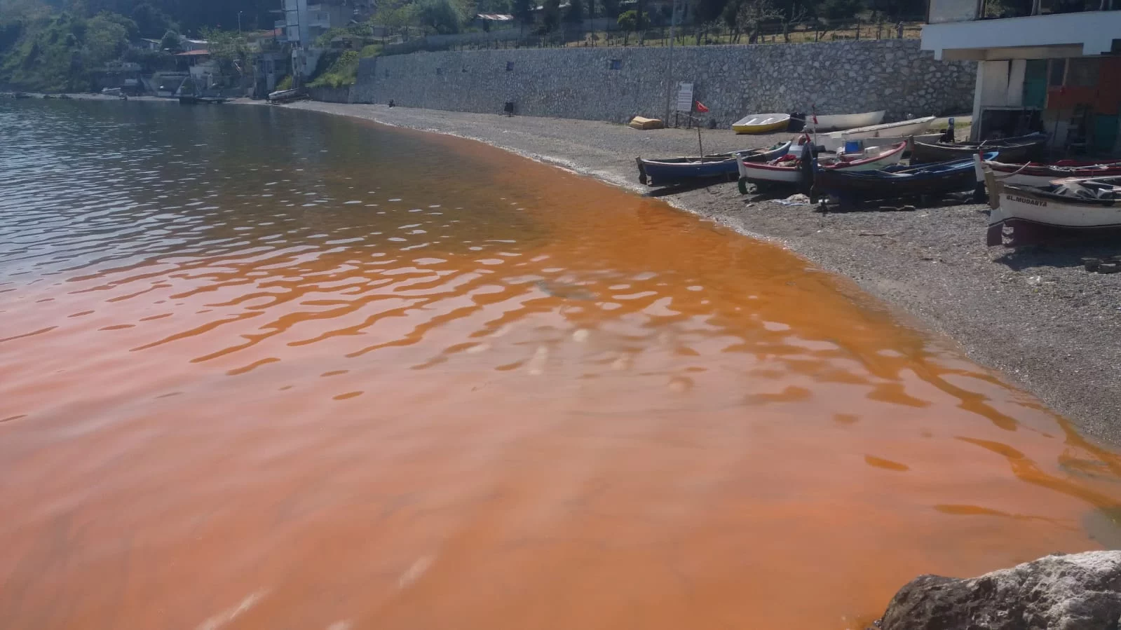 Alg patlaması, Mudanya sahilini kızıla boyadı