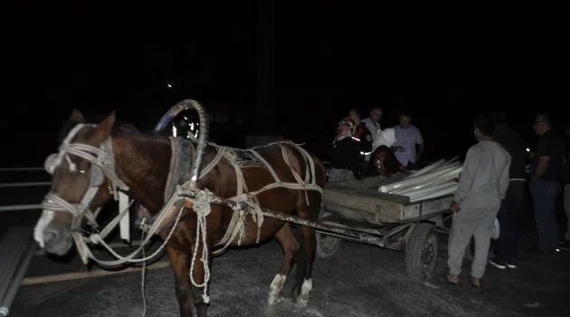 At arabalı hırsızları yakalayan polis, at arabasına binerek hırsızları emniyete götürdü