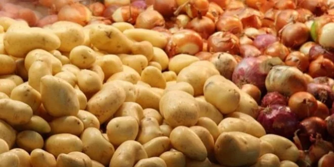 Bakan Zeybekci: Soğan ve Patates Fiyatlarına Müdahale Başladı