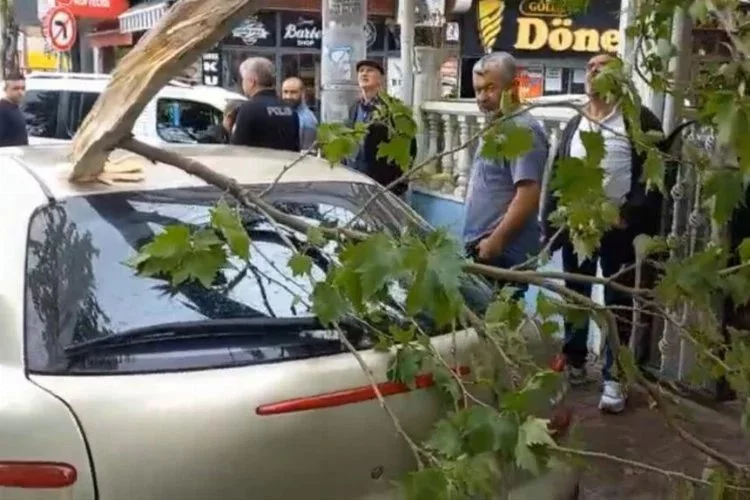 Bursa'da ağaç otomobilin üzerine düştü