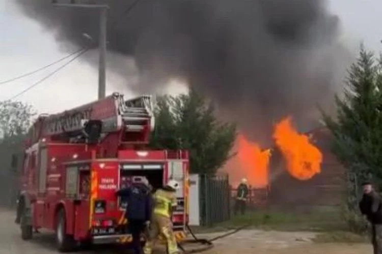 Bursa'da çiftlikte yangın paniği...