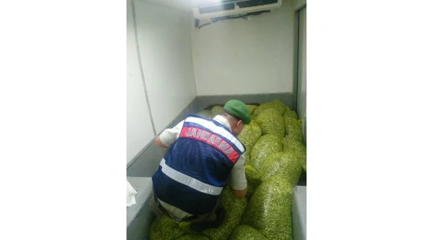 Bursa'da 1 ton 200 kilo kaçak midye ele geçirildi
